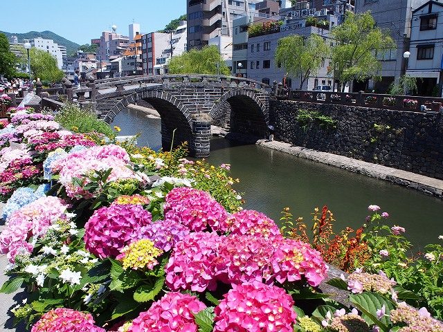 ながさき紫陽花 おたくさ まつり19開催 眼鏡橋やシーボルト邸などで紫陽花がみられるよ ながさーち 長崎の観光スポット グルメ イベント情報など