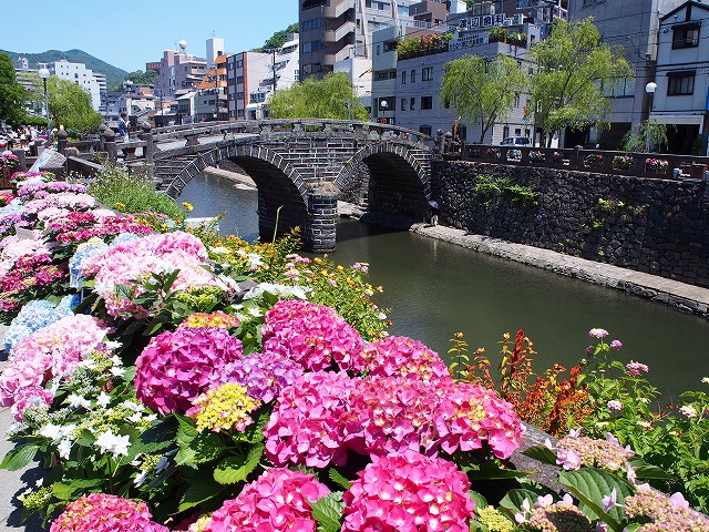 ながさき紫陽花 おたくさ まつり19開催 眼鏡橋やシーボルト邸などで紫陽花がみられるよ ながさーち 長崎 の観光スポット グルメ イベント情報など